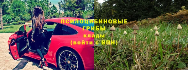 тгк Кодинск