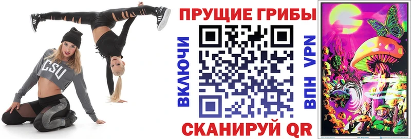 Псилоцибиновые грибы GOLDEN TEACHER  продажа наркотиков  Прокопьевск 