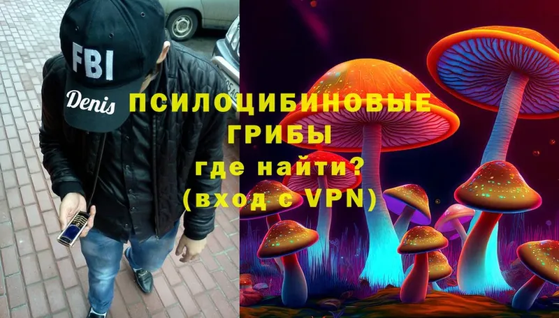 Галлюциногенные грибы Psilocybine cubensis  Прокопьевск 