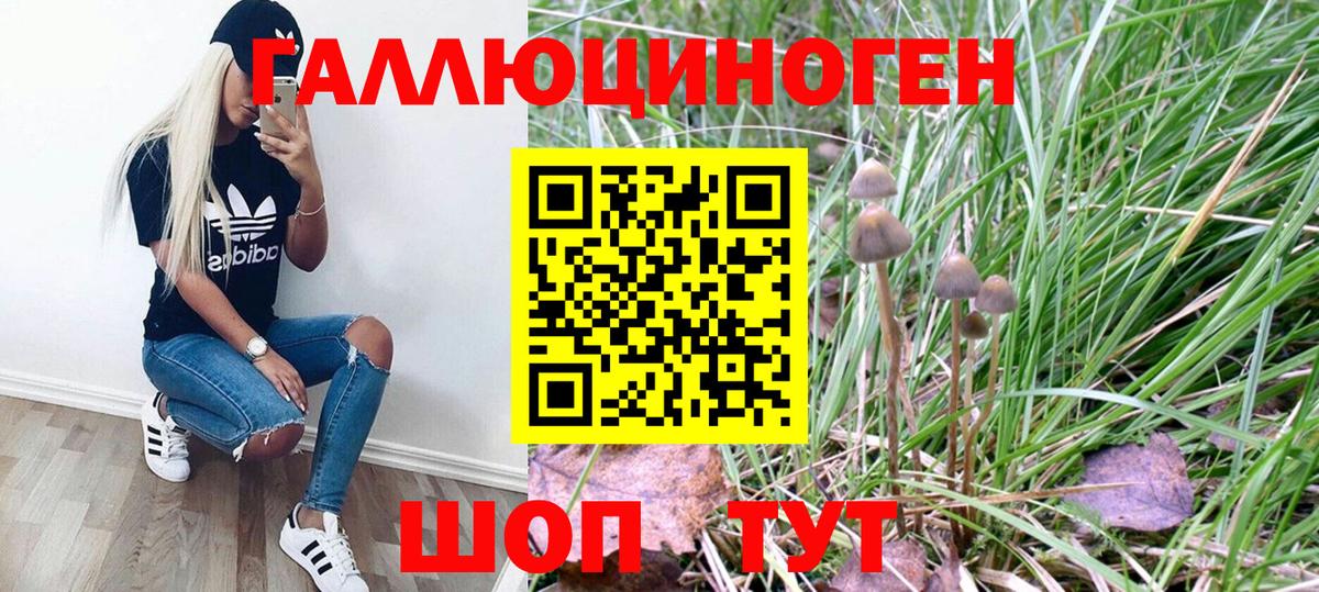 Псилоцибиновые грибы Magic Shrooms Прокопьевск