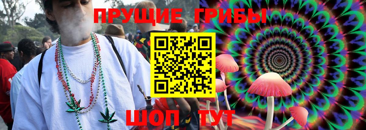 Псилоцибиновые грибы мицелий Прокопьевск