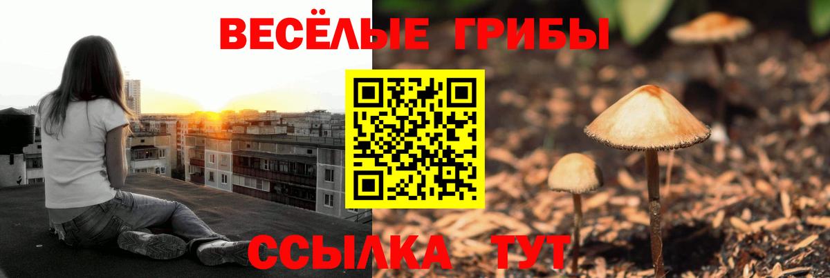 Галлюциногенные грибы Cubensis  Галлюциногенные грибы Psilocybe  Прокопьевск  Вход с VPN 